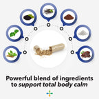 LifeSeasons Anxie-T - Stress Relief Supplement - Supports Mood & Mental Focus - Feel Calm and Relaxed - Eases Tension & Nervousness - Ashwagandha, Kava Kava, GABA & L-Theanine - 60 Capsules