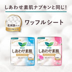 Menstrual Care 54 pieces 162 pieces