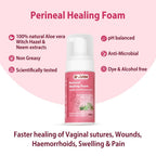 B-Arm Normal Delivery Postpartum Recovery Kit(10 pcs)|Includes 4 Disposable Underwear, 4 Icemaxi pads, 100ml Perineal Healing Foam, Pack of 25 Witch Hazel Padliners| New Mom's Hospital Bag Must-have