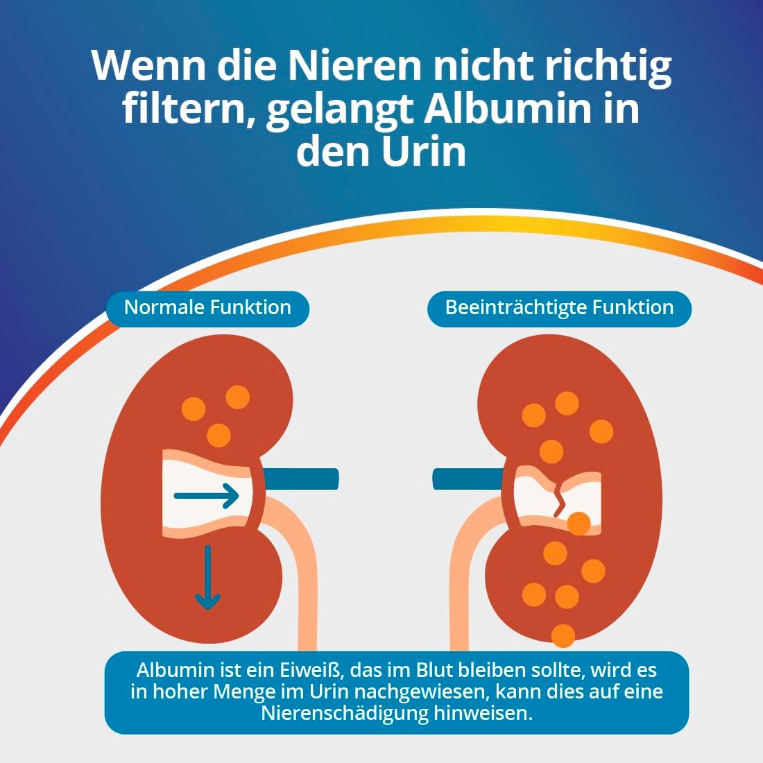 ADESTE Health Test Kits 2 tests