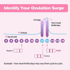 HEAL-CHECK 25 Count Ovulation Test Strips with Cups, Bulk Ovulation Test Strips for Women, Ovulation Predictor Kit, Accurate Fertility Tests for Home, Individually Wrapped 5mm LH