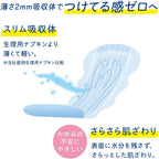 Panty Liners 100% Cotton Large Pack 17cm 5cc