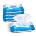 Beautifier Life Wet Wipes - Hand Sanitizer Wipes with Aloe and Vitamin E for Men, Women, & Kids - Eliminates 99.99% of Microbes (4 Pack x 50 Wipes)