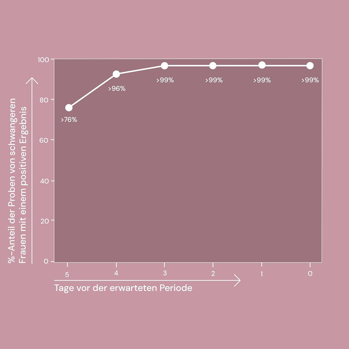 Schwangerschaftstest Pregnancy and Ovulation Tests 2 pieces