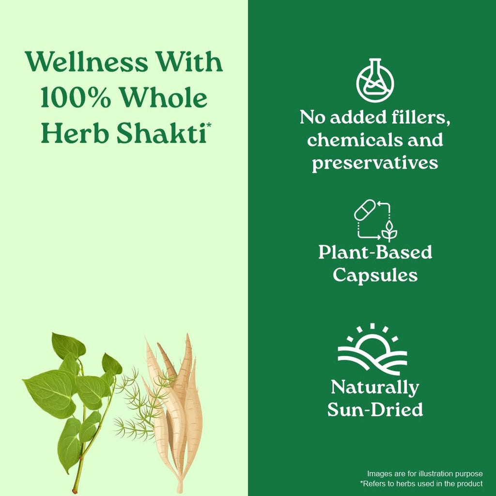 A TATA Product - Organic India Women's Well Being - 60 Veg Capsules, Plant Based Estrogens, Boosts Health & Vitality For Women Of All Ages & Restore Hormonal Balance, GMP & NPOP Certified Organic