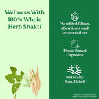 A TATA Product - Organic India Women's Well Being - 60 Veg Capsules, Plant Based Estrogens, Boosts Health & Vitality For Women Of All Ages & Restore Hormonal Balance, GMP & NPOP Certified Organic