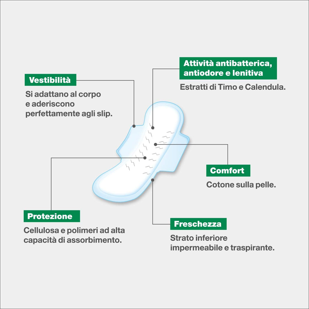 Saugella Sanitary Pads Overnight
