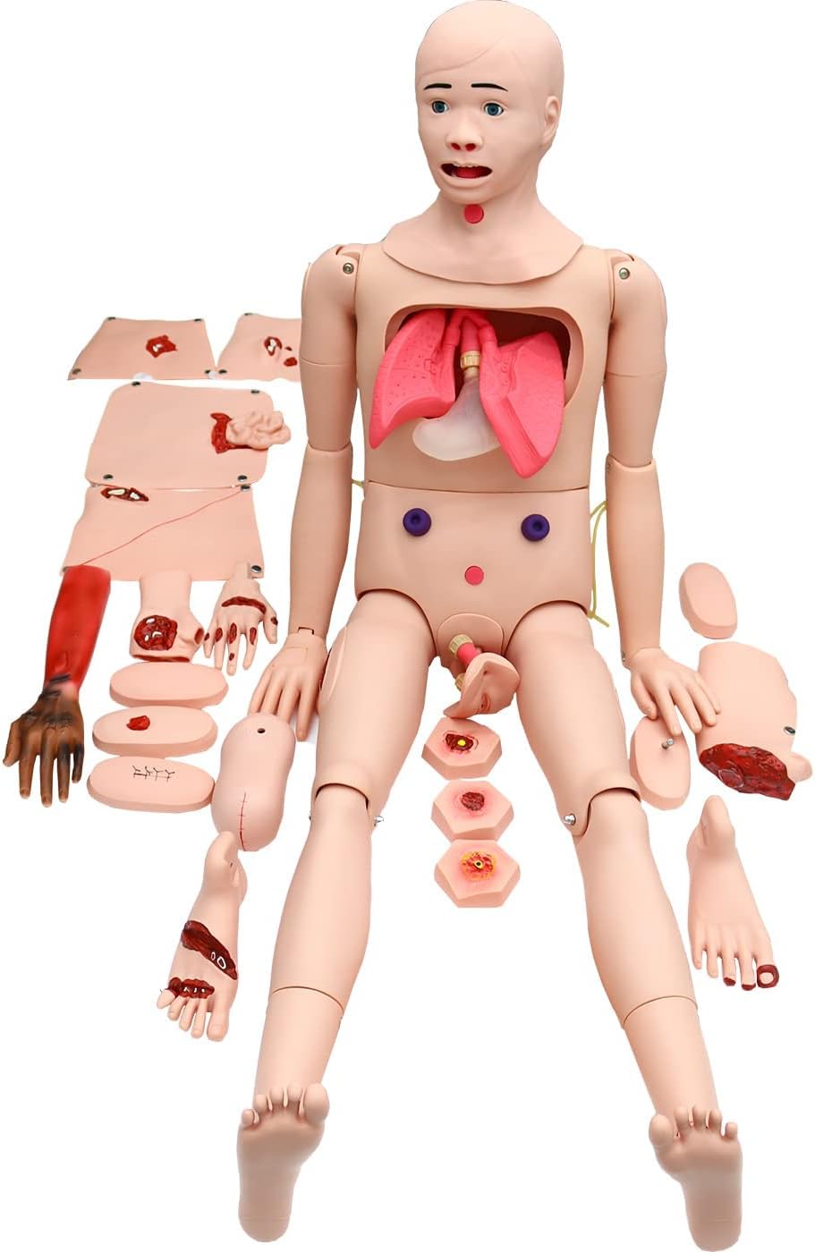 Medical Training Models 170 cm