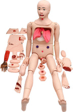 Medical Training Models 170 cm
