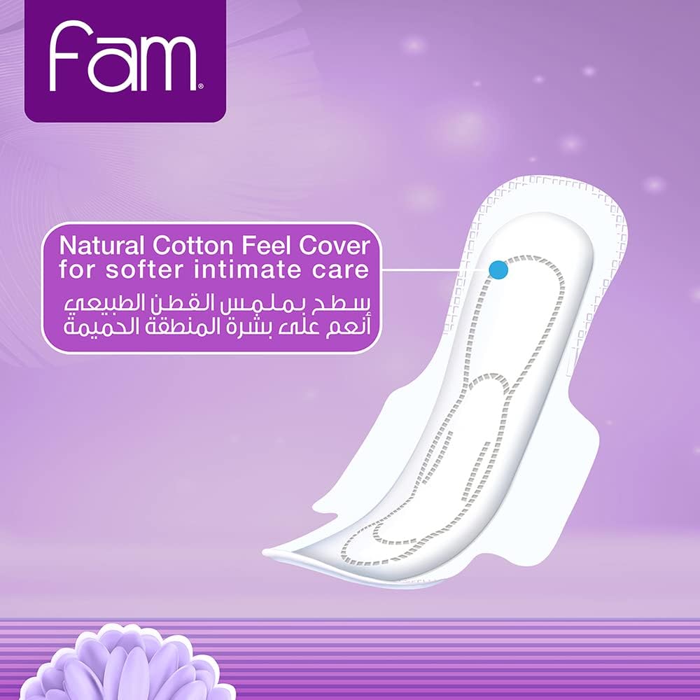 Sanitary Pads 10 pads