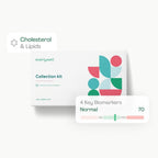 Everlywell At-Home Cholesterol and Lipids Lab Test Collection Kit for Women and Men, Measures HDL, LDL and Triglycerides for Accurate Results from a CLIA-Certified Lab Within Days, for Ages 18 Plus
