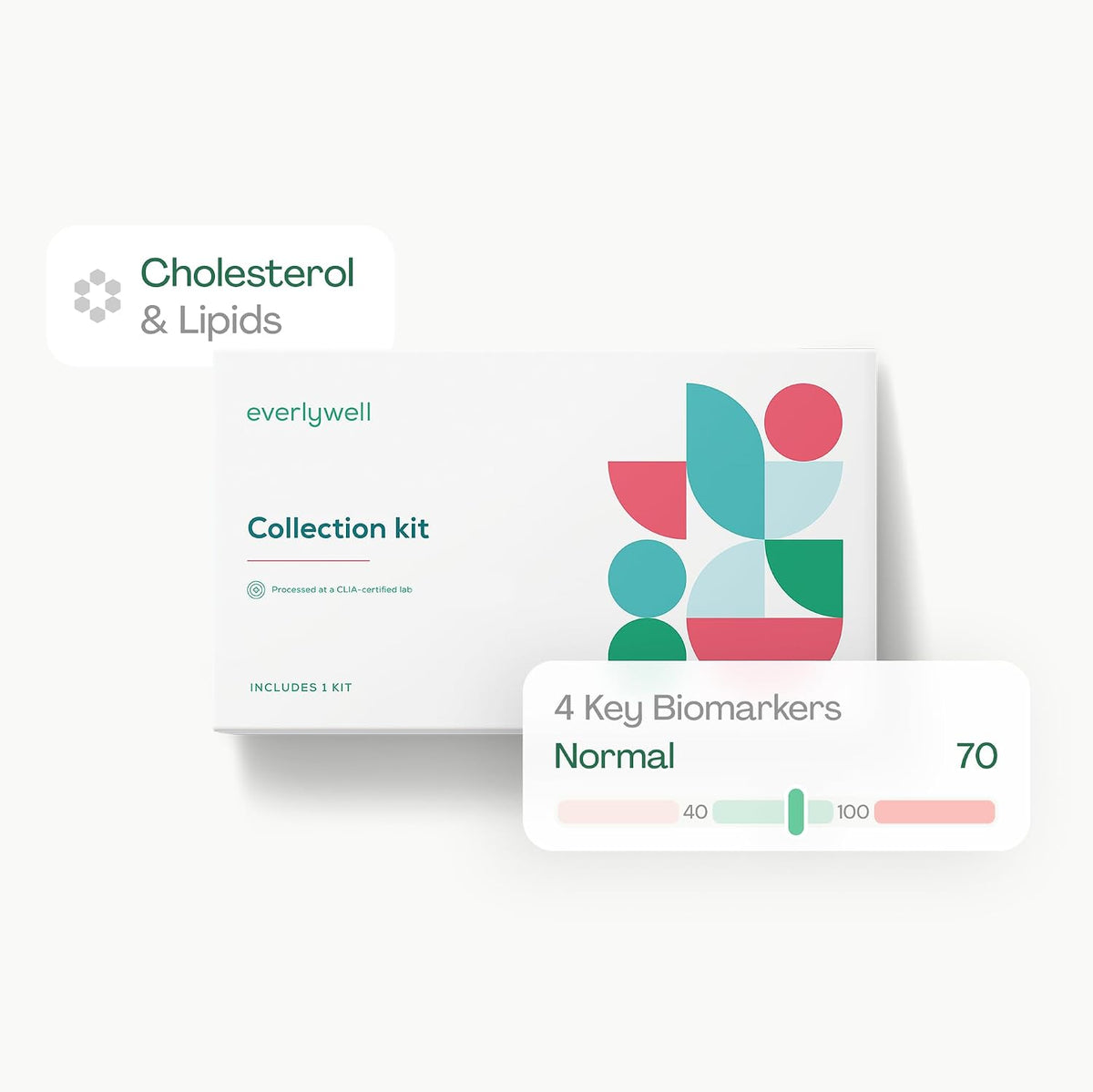 Everlywell At-Home Cholesterol and Lipids Lab Test Collection Kit for Women and Men, Measures HDL, LDL and Triglycerides for Accurate Results from a CLIA-Certified Lab Within Days, for Ages 18 Plus