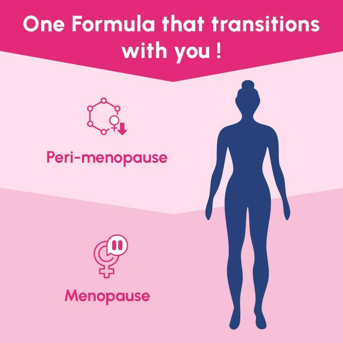 Femme 365 Hormonal Support for Women, Herbal Hormonal Supplements for Peri-Menopause and Menopause, Reduces Symptoms of Intense Hot Flushes, Promotes Healthy Libido, and More, 60 Capsules