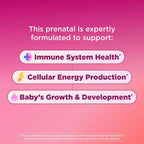 OLLY Prenatal Multivitamin Gummy, Daily Blend for Mommy & Baby - 60 Count