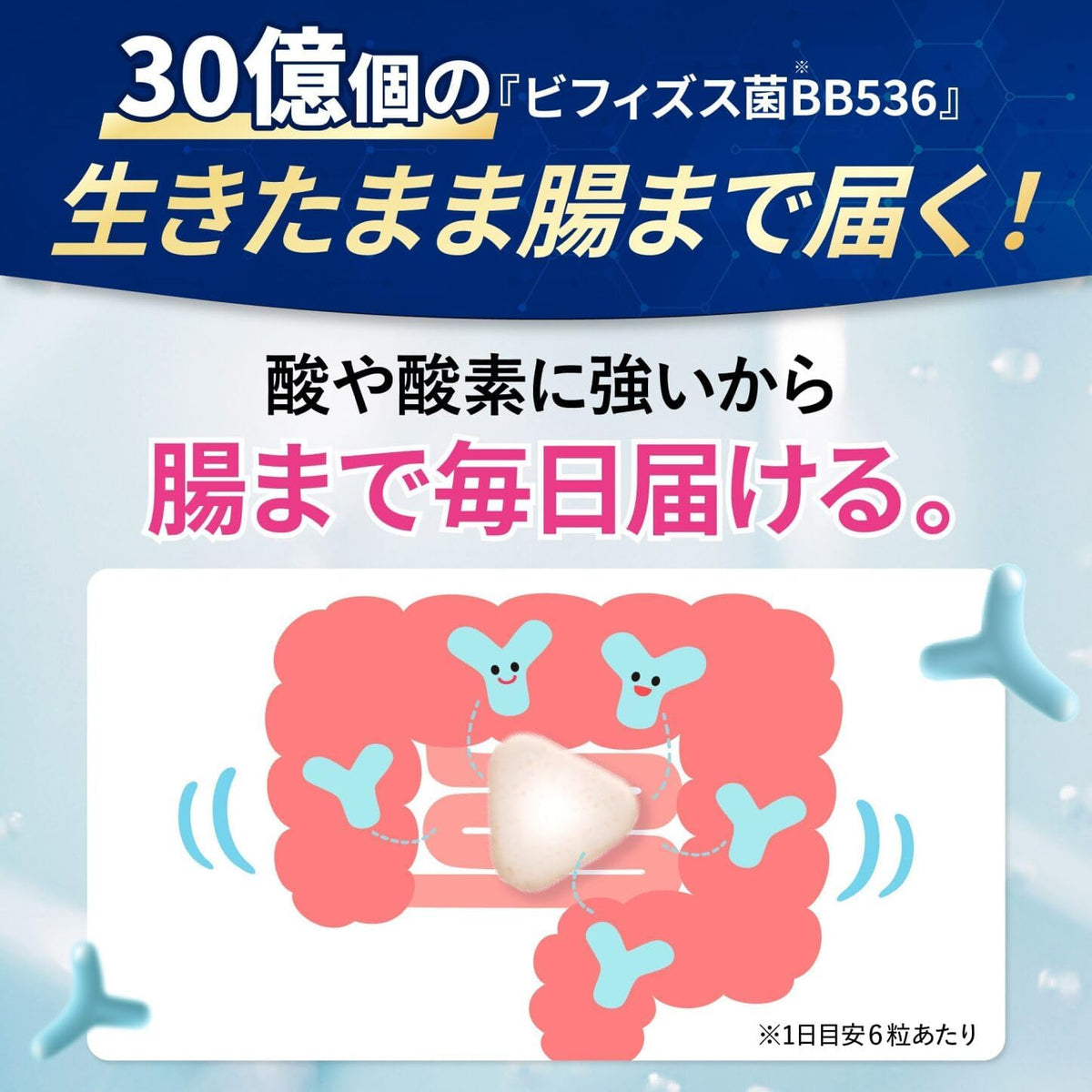 Morinaga Dietary Supplements 3 units 90 days supply