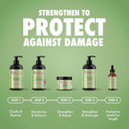 Mielle Organics Rosemary Mint Biotin Strengthening Shampoo, 12 oz