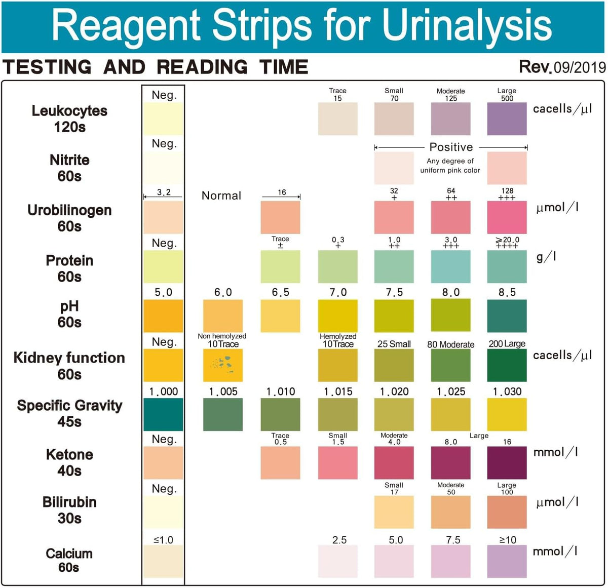 Urinalysis Test Strips, Urine Test Strips, 10 Parameter Urine Strips, Accurate Results, Urinalysis Home Testing Stick Kit to Help Monitor Your Health, Urine Strips DipstickTests - 100 Strips