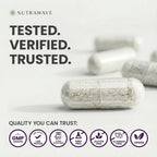Nutrawave 50 Billion Daily Probiotic for Men & Women – 15 Strains of Live Cultures | 60 Vegan, Gluten-Free Capsules