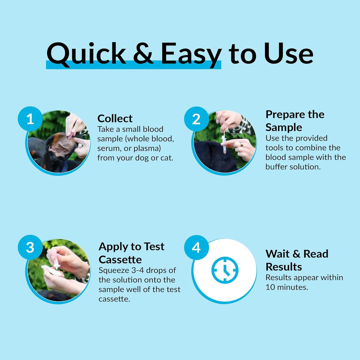 getTested Early pregnancy test for dogs and cats