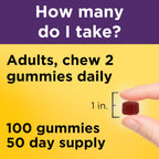 Nature Made Elderberry Gummies with Vitamin C & Zinc, 100 Gummies