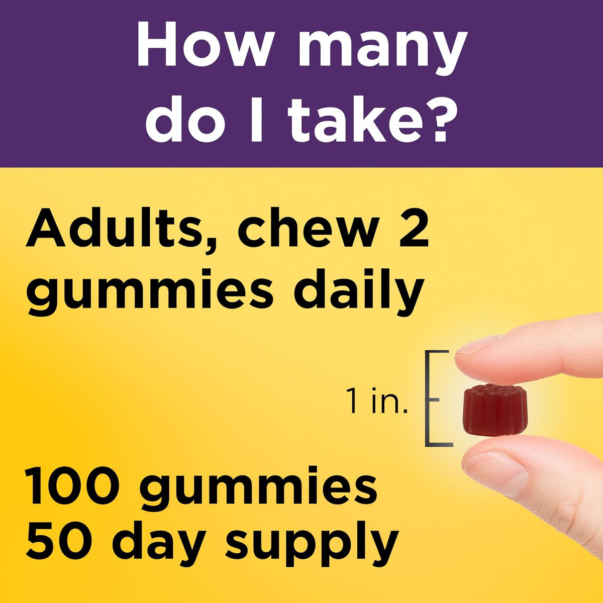 Nature Made Elderberry Gummies with Vitamin C & Zinc, 100 Gummies