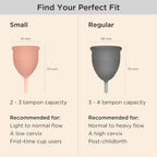 Saalt Soft Menstrual Cup – Reusable Period Cup – Made for Comfortable, Leak-Free Protection Up to 12 Hours – BPA & Latex Free – Includes Cup & Carry Bag (Regular Grey/Small Desert Blush)