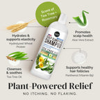 Puriya Tea Tree Clarifying Shampoo. Plant Rich Dry Itchy Scalp Relief, for Kids, Adults, Sulfate Free, No Harsh Chemicals Seen in Dandruff Treatment, Seborrheic Dermatitis, Psoriasis Shampoo, 16 oz