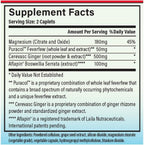 MigreLief-Now Fast-Acting Formula, As-Needed Nutritional Support for Migraine and Headache Sufferers - 60 Vegetarian Capsules