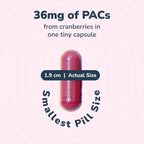 Utiva Cranberry PACs – Clinically Studied Ingredients 36mg PACs for UTI Avoidance - Supplement for Urinary Tract Health for Women and Men – Cranberry Extract Pills for Bladder Health, 90 Vegi Capsules