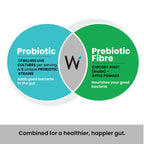 Wellbeing Nutrition Daily Probiotics + Prebiotics, Gut Health Supplement 18 Billion CFU with Organic Chicory Root | For Indigestion, Constipation, Gas, Bloating, IBS & Immunity, 21 Effervescent Tabs