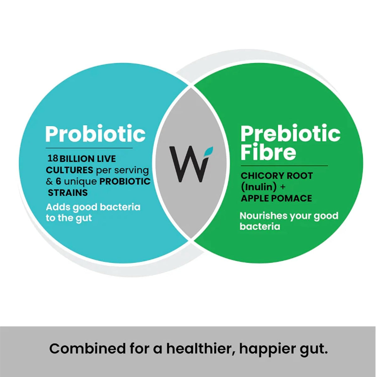 Wellbeing Nutrition Daily Probiotics + Prebiotics, Gut Health Supplement 18 Billion CFU with Organic Chicory Root | For Indigestion, Constipation, Gas, Bloating, IBS & Immunity, 21 Effervescent Tabs