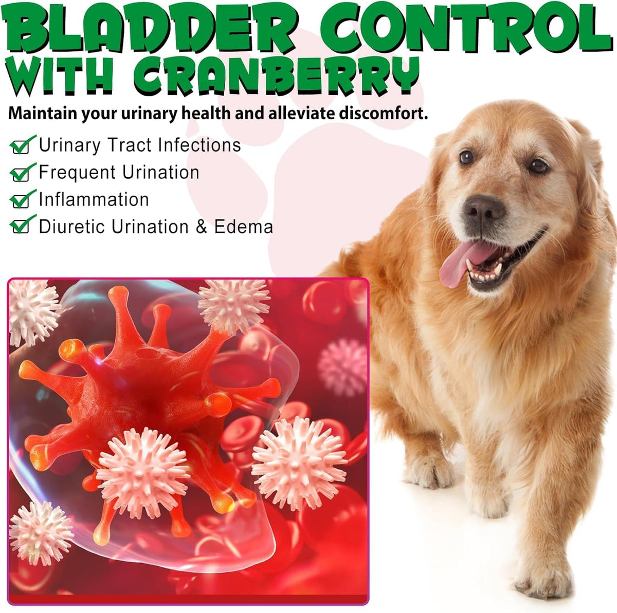 NP- Dog UTI Treatment Drops – Natural Cranberry Supplement for Bladder & Kidney Health – Urinary Tract Infection Support for All Breeds – Liquid Herbal Formula for Dogs