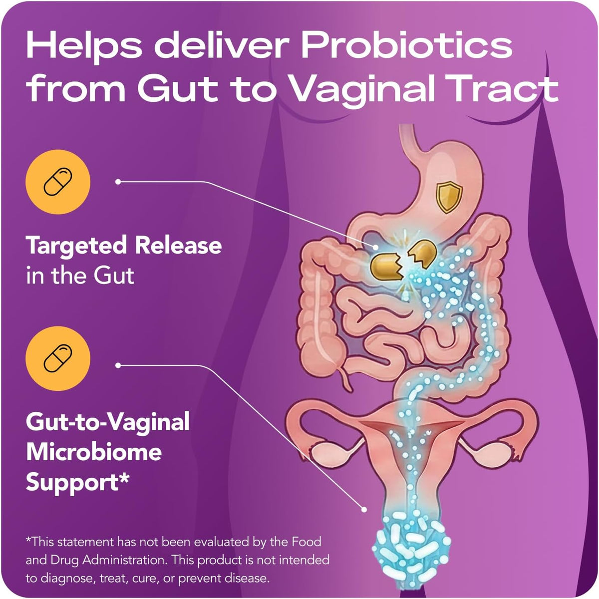BV Probiotic Supplements 60 capsules