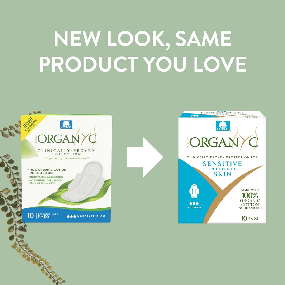 Organyc Ultra Thin Pads - Moderate Wings, 10 count