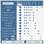 SmartSafety 13 STI Test Kits