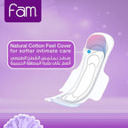 Sanitary Pads With Wings Overnight 48 pads