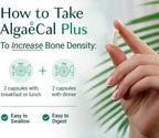 ALGAECAL Plus Calcium Supplement for Bone Density, with D3 K2, 120 Caps