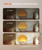 Dreamegg Sunrise 1 Alarm Clock, Wake up Light, White Noise Machine for Adults