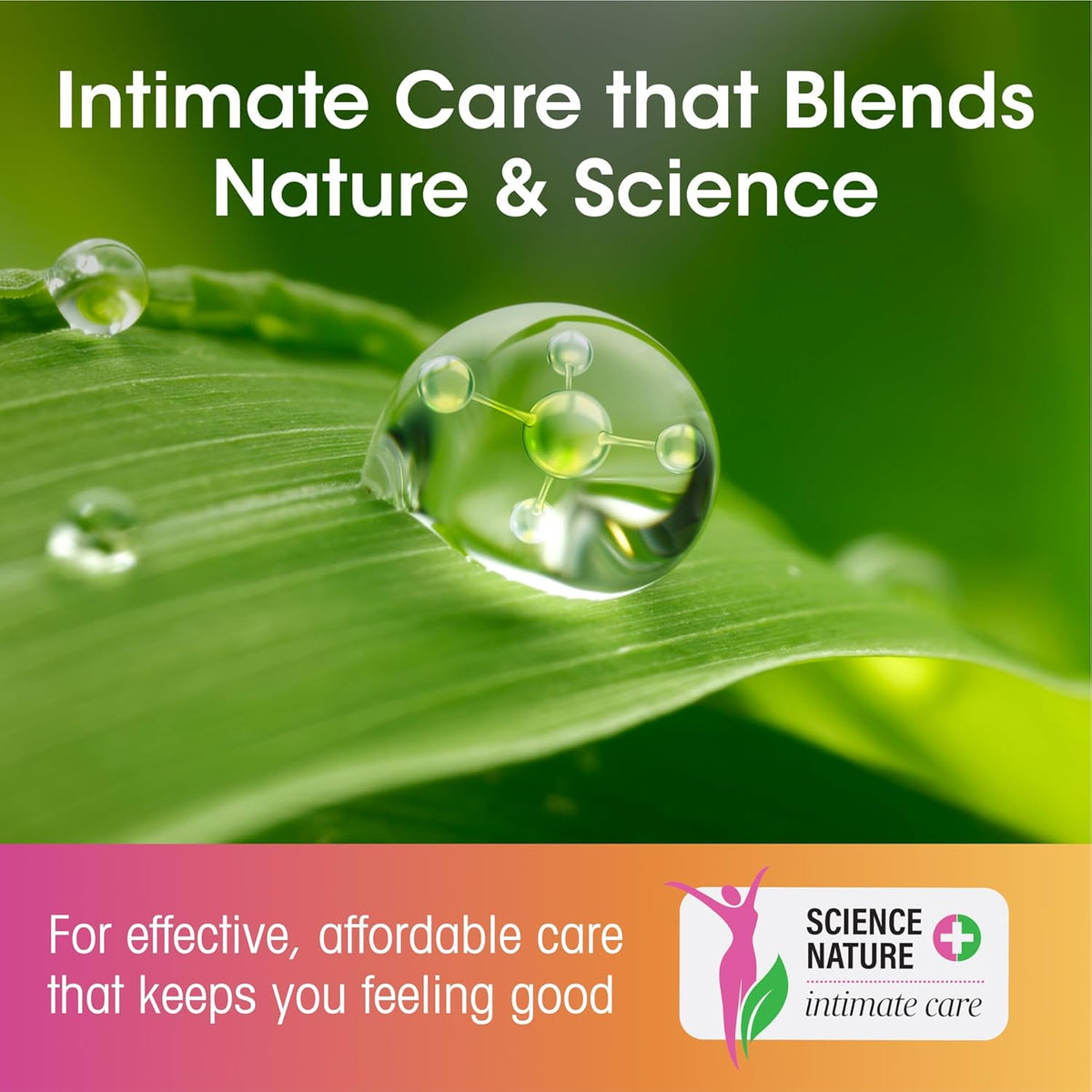 vH Probiotic Supplements
