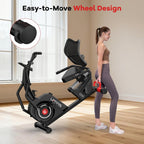 Recumbent Exercise Bike for Home, Stationary Bike with Arm Exerciser