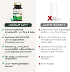 BodyFokus Dietary Supplements 60 capsules