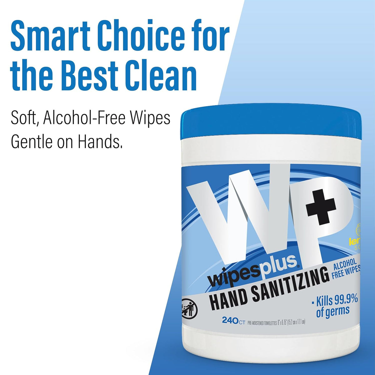 WIPESPLUS Hand Sanitizing Wipes Canister Alcohol Free for Home and Business, 240 Count