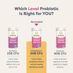 Renew Life Women's Probiotic Capsules, 50 Billion CFU Guaranteed, Supports pH Balance, Vaginal, Urinary, Digestive and Immune Health(2), L. Rhamnosus GG, Dairy, Soy and Gluten-Free, 60 Count