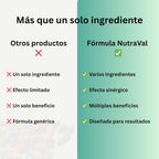 Anti-Stress Oral Spray with Ashwagandha, Rhodiola Rosea, Reishi and Schisandra China – Food Supplement with Adaptogens, with MCT Oil, Mint Flavor, 30 ml