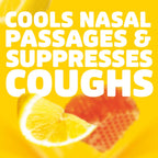 HALLS Cough & Throat Relief Honey Lemon Sugar Free Cough Drops, 180 ct | No Synthetic Dyes, Bulk Pack