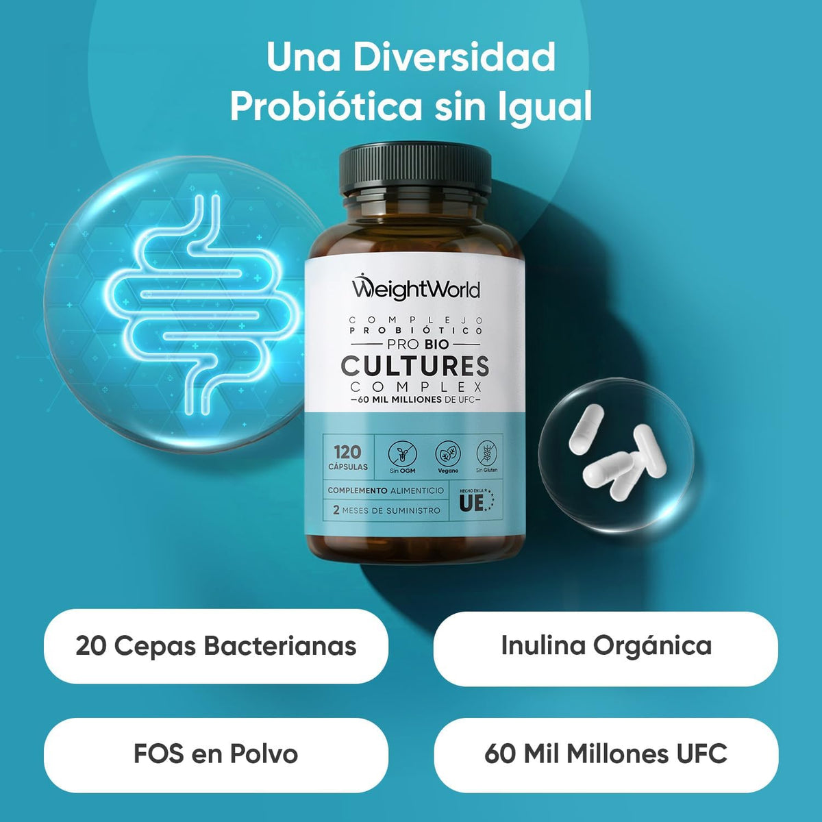 Intestinal Probiotics & Prebiotics with 20 Bacterial Strains - 120 Capsules for 2 Month Supply - 60 Billion CFU, With Inulin & FOS Powder, Vegan Friendly, Lactose Free & Non-GMO