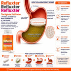 Refluxter Sodium Alginate Capsules 1000+ mg for Acid Reflux LPR & GERD | Natural alginate raft for heartburn, silent reflux & nighttime acid. Vegan supplement, 60 capsules, no aluminum or sugar