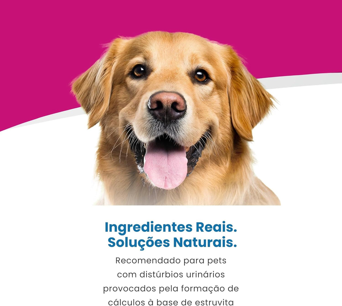 Vet Dietary Supplements 300g