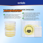Mold Test Kit for Home - Do It Yourself Home Mold Detector | Test HVAC System | Home Surfaces | Indoor Air Quality Testing Kit - Identification Guide Included - Sealed Separately (Items of 3)