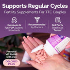 Conceive Plus Women's Fertility Support - Supports Menstrual Regularity & Hormonal Balance - Fertility Supplements for Women with Folate, Vitamin C, Zinc, & Inositol - Prenatal Vitamins - 60 Capsules